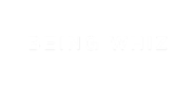 Being Whiz Logo White